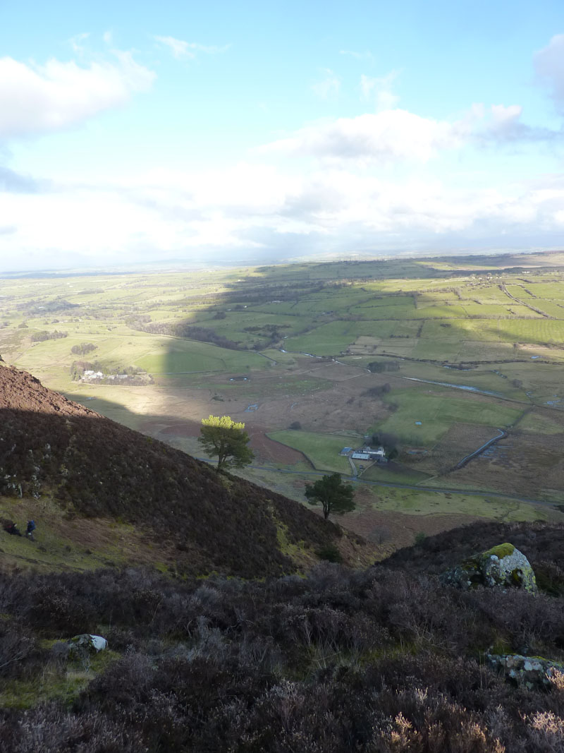 Stone End Farm